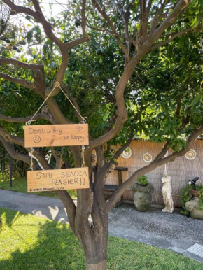 Garden apartments Ischia super centrale